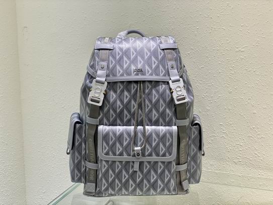 Dior Hit the Road D8005 43x51x20cm wo