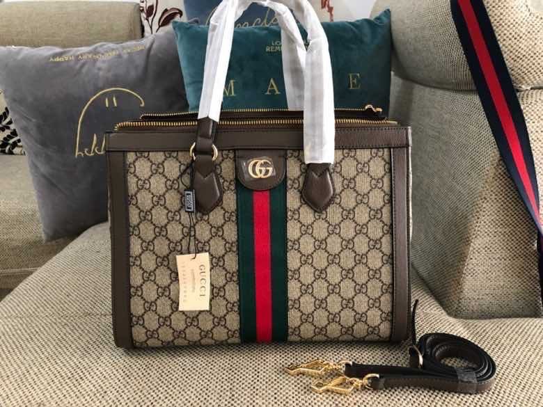 GU524537