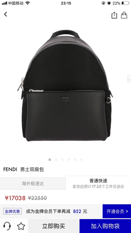 SF629 38X35X14cm WP