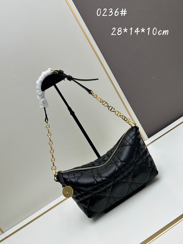 Dior 0236 28.5x14.5x10cm jj