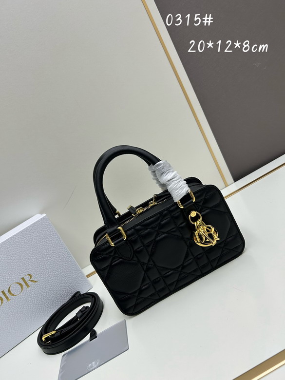 Dior Toujours 0315 20x12x8cm jj