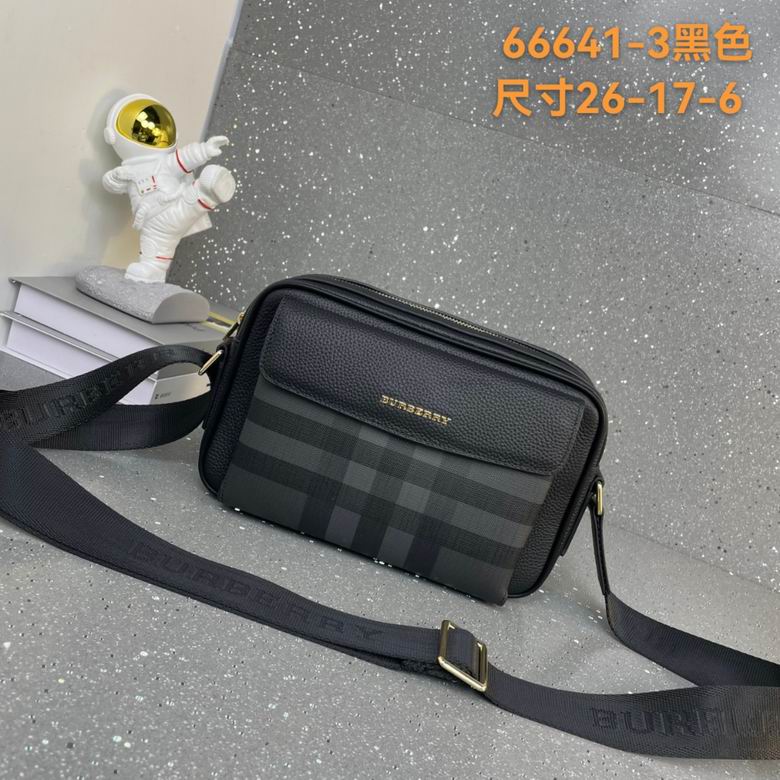 66641-3 26X17X6cm WP