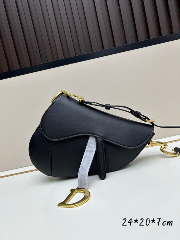 Dior Saddle 24x20x7cm jj1