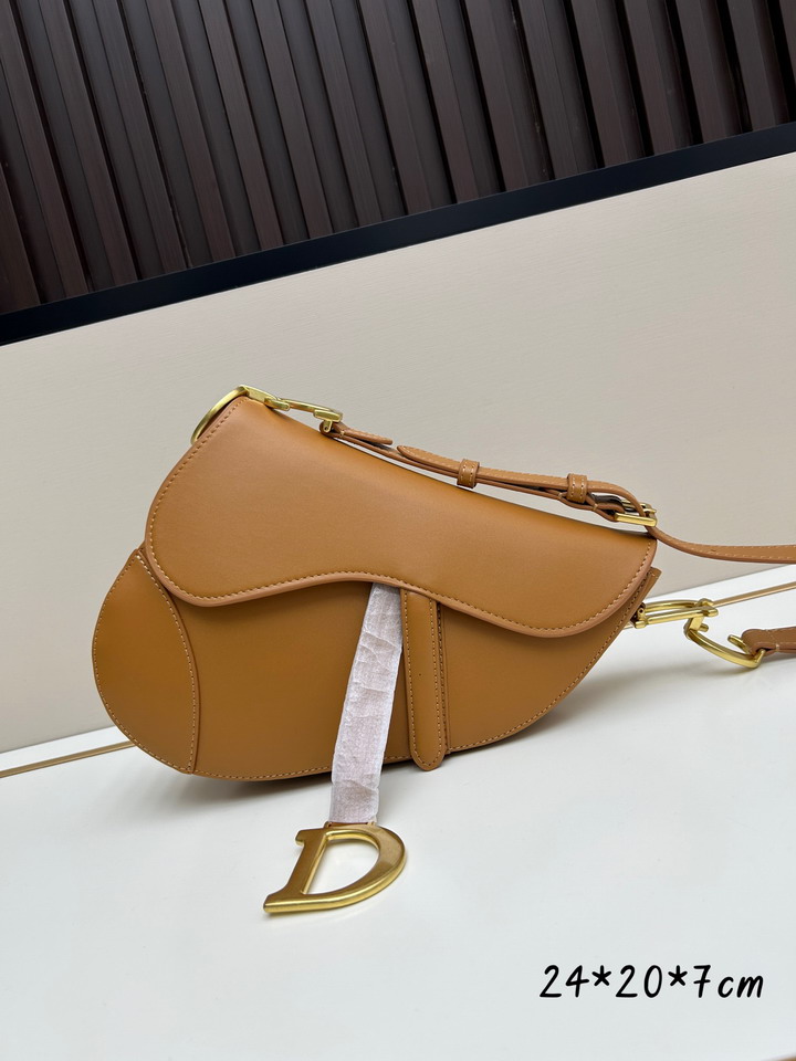 Dior Saddle 24x20x7cm jj2