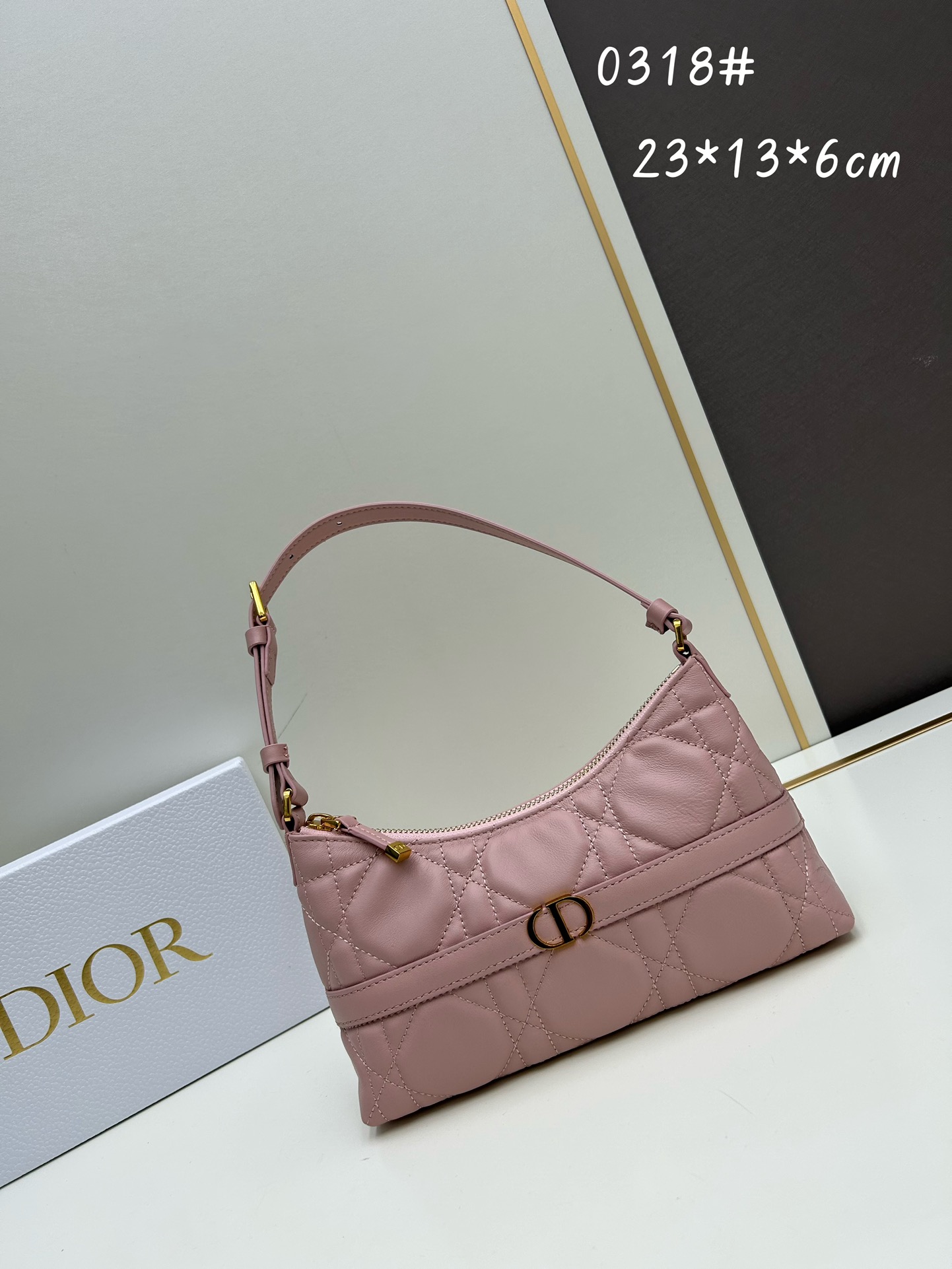 Dior 0318 23x13x6cm ss2