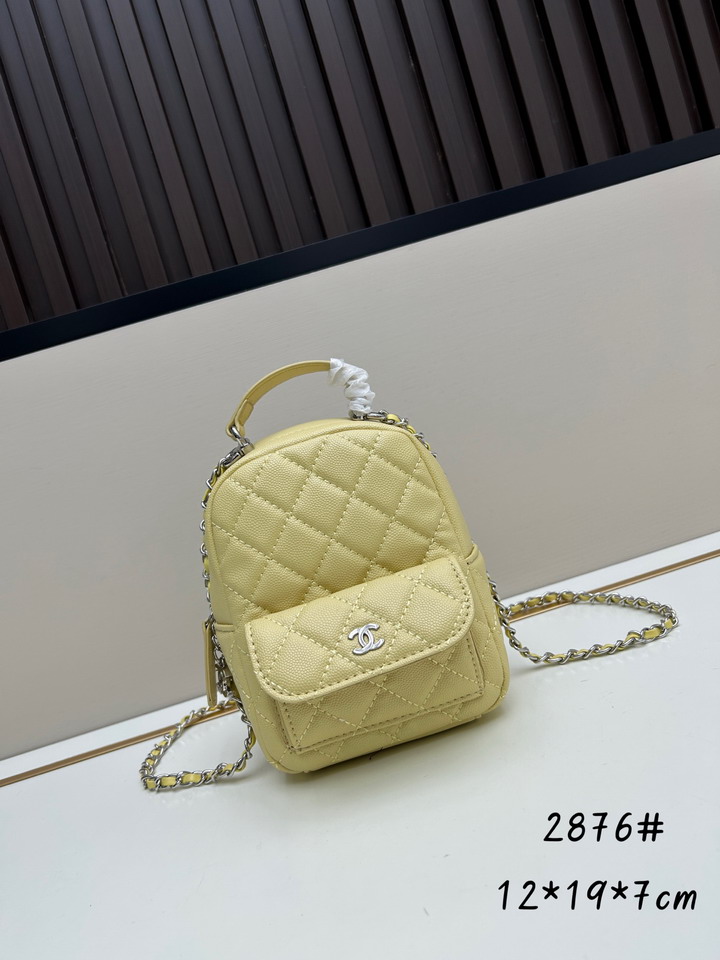 Chanel 2876 12x19x7cm jj1