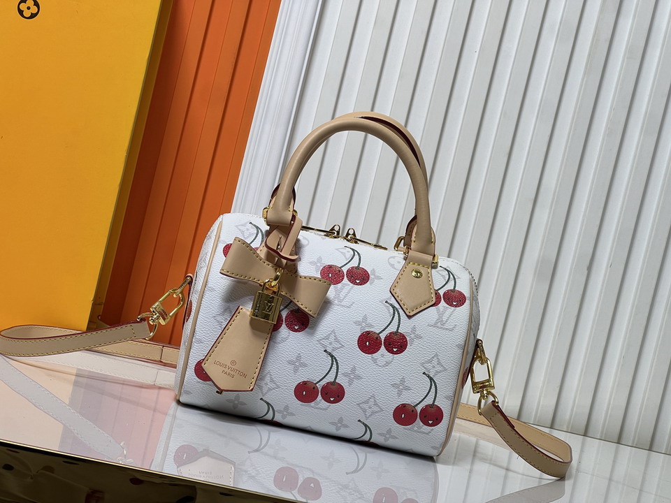Speedy M13094 20.5x13.5x12cm ss1