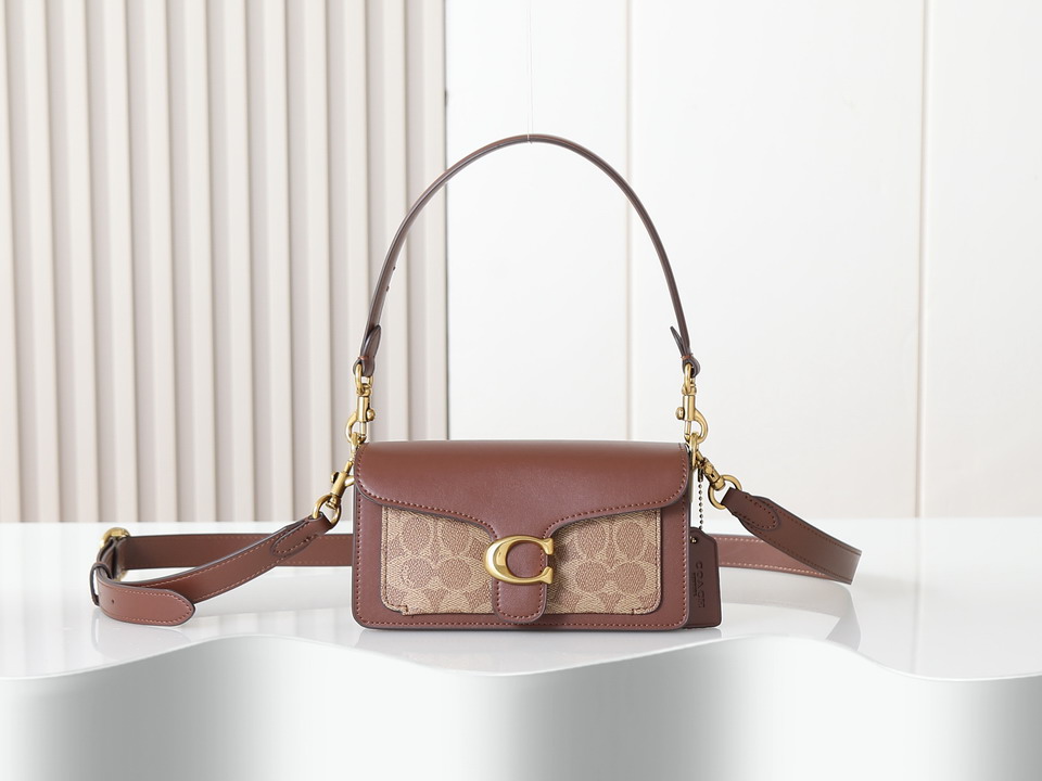 Coach 73995 20x10x6cm ss10
