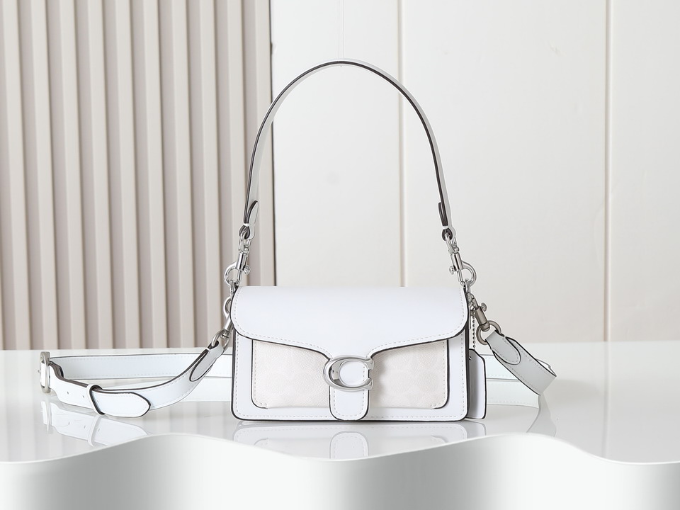 Coach 73995 20x10x6cm ss12