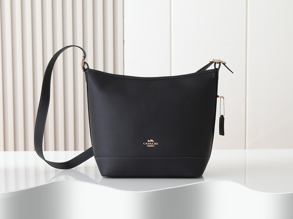 Coach CBH20 24x15x26cm ss2