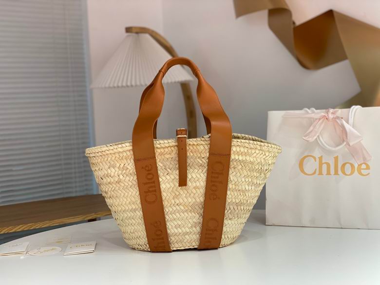 01236065 45X24X18cm SS 5colour 1